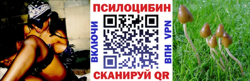 Купить Тетюши Псилоцибиновые грибы мухоморы